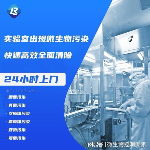 实用细胞培养入门指南与北上广专业实验室消毒服务